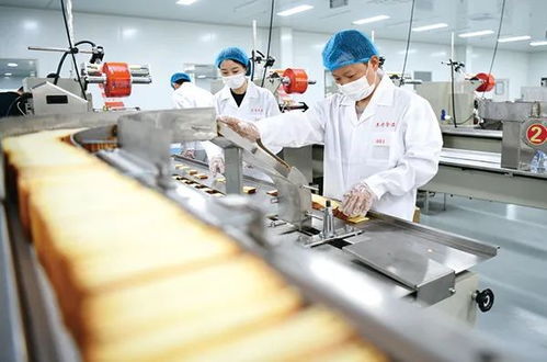 所有人 這塊0添加,好吃又解饞的素肉,想把命運交給你
